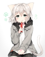paste-20260811-134309.png