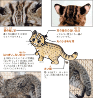 b8e2f23b6cce354e072d2ac28a1e47ab.gif