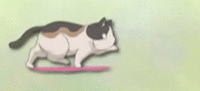 83d4c456abae675da2b6c548c28c0874.gif