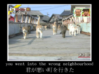174c67cf8be9aeb8456517ff8e103d85.png