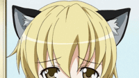 acb5583e202943b2930e7ea2e74daa20.gif
