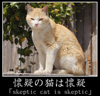 e8f72e51a20fc998d2a57f65e49b20aa.png