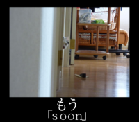 f7cbeaa169cfedf3821119a3de559c86.png