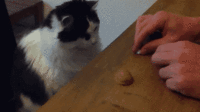 68ee09b29d5c35830ba15d0f01cbaee7.gif