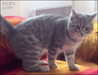 f69a90a7016a2c64e0687348ce997f30.gif