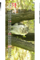 9d08f67794ddfd6db3ec63b55d3fcd7f.png