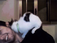 a2f59568dcb2fe5b6fac41de4aa94043.gif