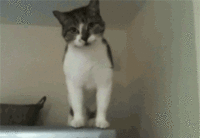 e97746770ae10fdc3daeaa21366040d7.gif