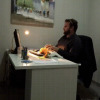 2969077f6f006ecaa4efe8e6c57a5931.gif